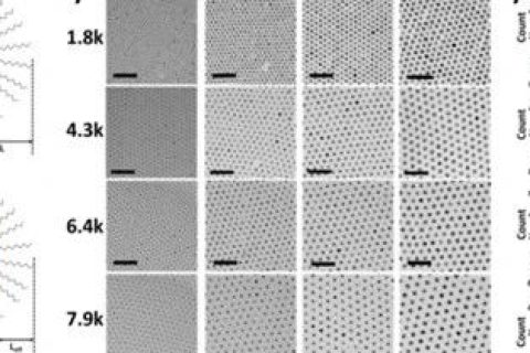 韓國(guó)科學(xué)技術(shù)院《ACS Nano》：手把手教你花樣制備納米粒子！