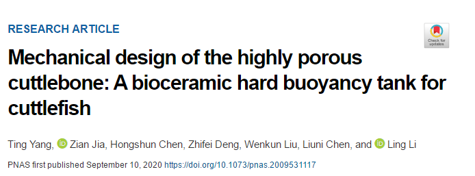 吃墨魚發(fā)了一篇頂刊《PNAS》！墨魚骨的秘密被揭開！