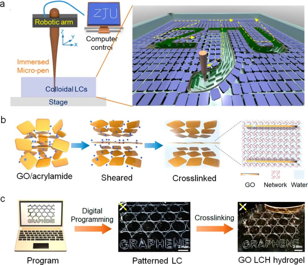 浙江大學高超、許震團隊《ACS Nano》:在剪切微印刷術研究方面再獲進展