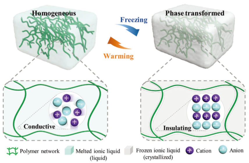 港中深朱世平、張祺團隊AFM：基于相變離子凝膠的柔性可拉伸“離子開關(guān)”