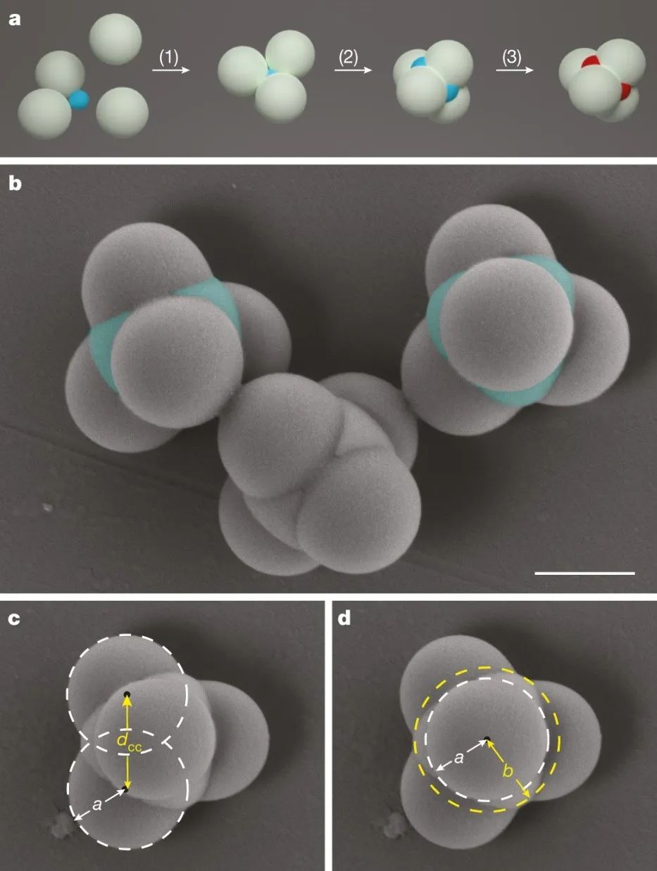 剛發(fā)Science，今日再來一篇Nature：膠體自組裝又火了一把