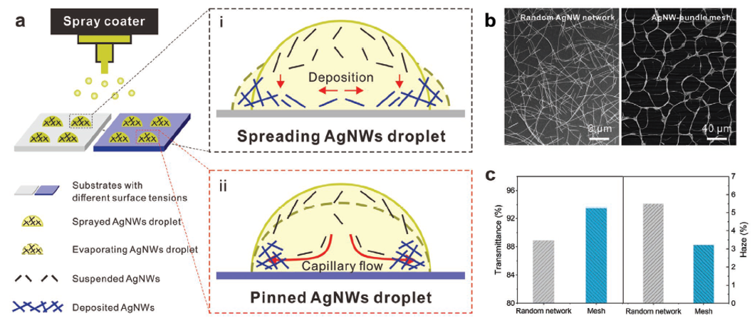 南洋理工李佩詩團隊《AFM》：噴涂組裝策略制備高性能銀納米線透明導(dǎo)電網(wǎng)絡(luò)