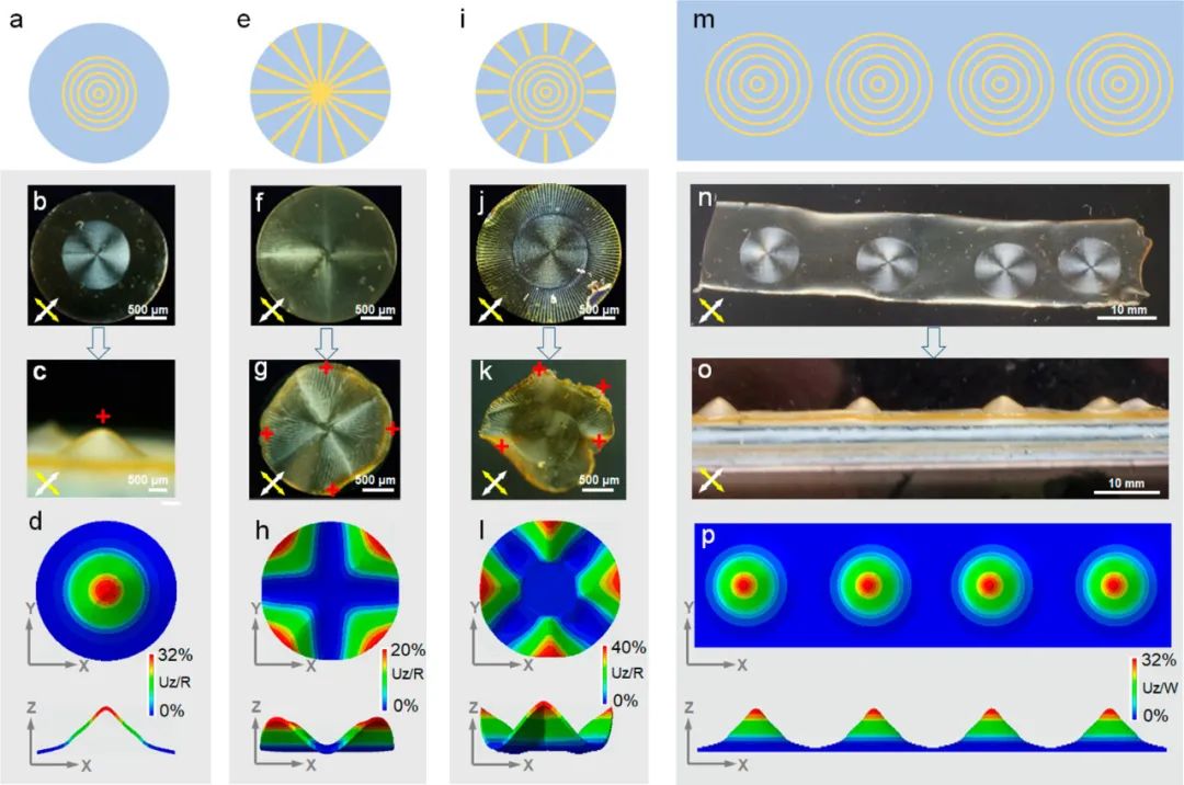 浙江大學高超、許震團隊《ACS Nano》:在剪切微印刷術研究方面再獲進展