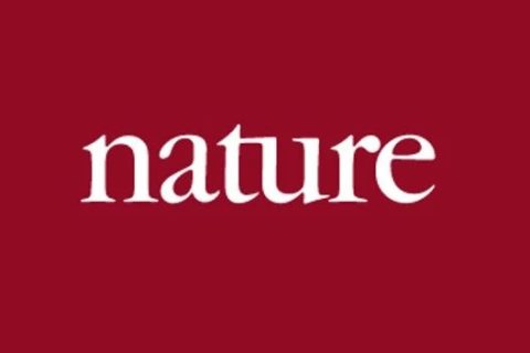 《Nature》：實現(xiàn)“不可能”！3D打印微型二氧化硅氣凝膠