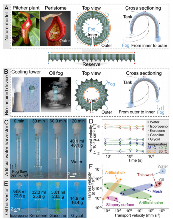 江雷院士、董智超《PNAS》：仿豬籠草結構表面可在潮濕環(huán)境中連續(xù)收集和輸送水