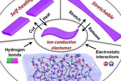 ?不依賴于壓力的觸摸傳感器！可自修復(fù)的純固態(tài)、無(wú)液體、可拉伸、高彈性離子導(dǎo)體