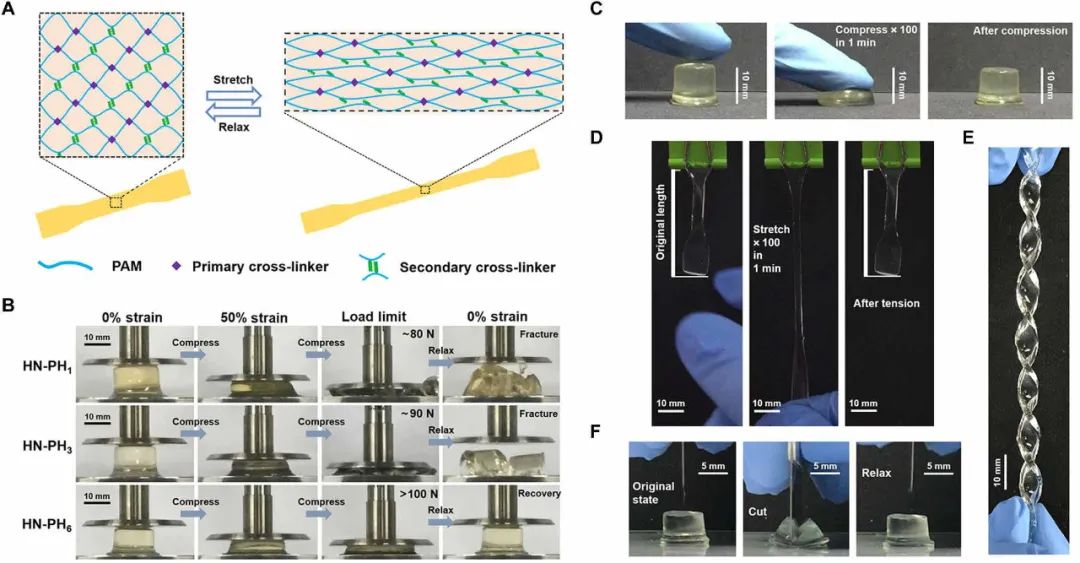 《Science》子刊：高強度、高韌性、可快速回復(fù)的水凝膠?