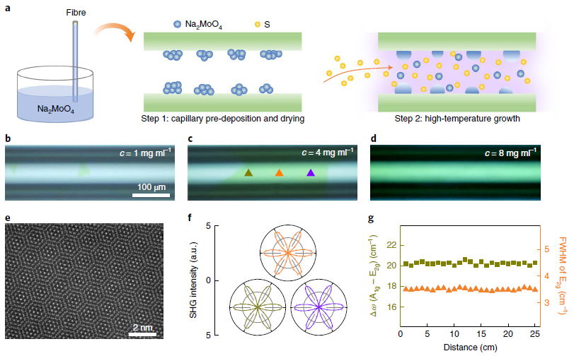 北京大學(xué)劉忠范院士/劉開(kāi)輝教授等《自然·納米技術(shù)》：光纖內(nèi)二維材料的均勻生長(zhǎng)實(shí)現(xiàn)超高非線性