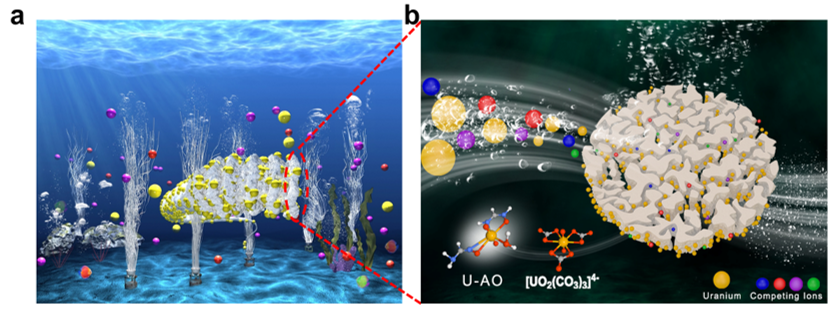 中科院上海應(yīng)物所《JMCA》：海水提鈾取得新進展！