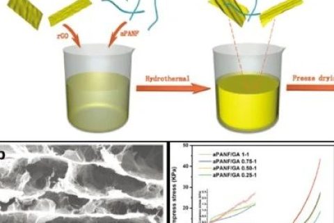 新型具有3D互連的分層微觀結構的納米纖維增強石墨烯氣凝膠