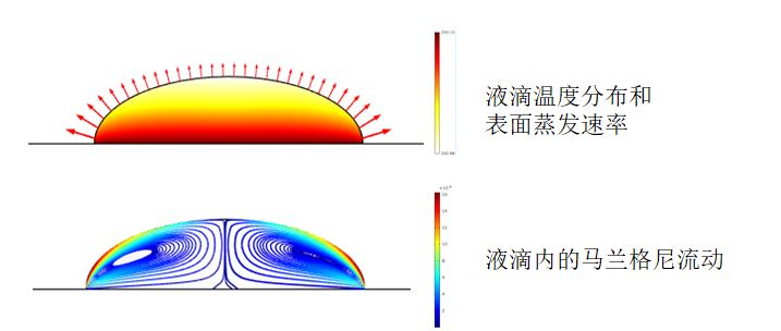 從六大領(lǐng)域數(shù)十篇頂刊，看仿真模擬到底可以用來做什么？