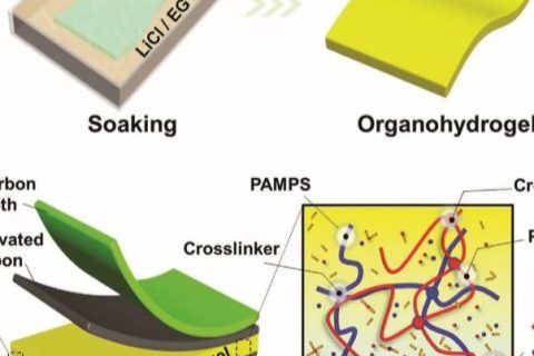 電子設(shè)備怕凍又怕燙怎么辦？中南大學(xué)《AFM》：長(zhǎng)期抗凍抗干的柔性超級(jí)電容器！