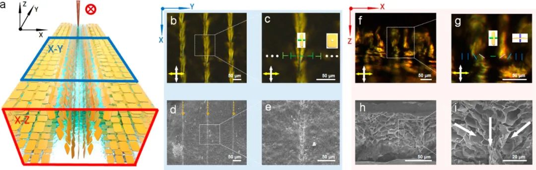 浙江大學高超、許震團隊《ACS Nano》:在剪切微印刷術研究方面再獲進展