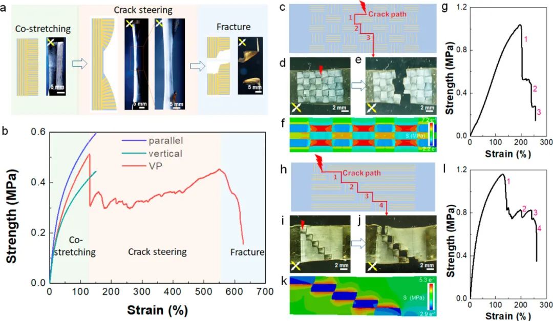 浙江大學高超、許震團隊《ACS Nano》:在剪切微印刷術研究方面再獲進展