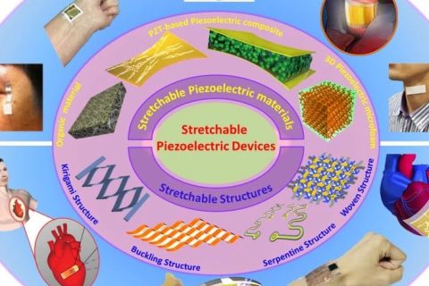西工大于慶民/PSU程寰宇、廖亞斌合作：新型可延展壓電材料最新進(jìn)展