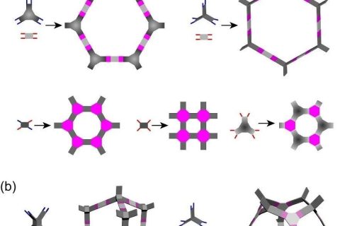 方磊《Chem》綜述：多孔網(wǎng)絡(luò)梯狀聚合物