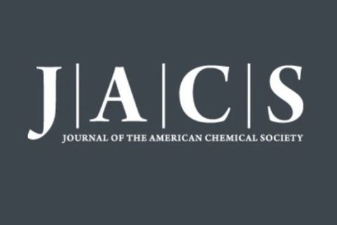 短的比長的好！鮑哲南院士《JACS》：基于新型多位點柔性高分子自組裝單元的納米纖維