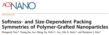 韓國科學技術(shù)院《ACS Nano》：手把手教你花樣制備納米粒子！