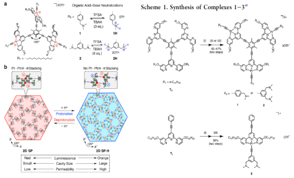 任詠華院士團(tuán)隊(duì)《JACS》：首個(gè)二維超分子智能聚合物