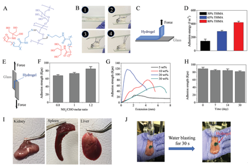 沒有化學(xué)反應(yīng)也能粘合！《AM》：具有“分擔(dān)負(fù)荷”作用的粘性水凝膠，可作為組織繃帶用于藥物和細(xì)胞的輸送。