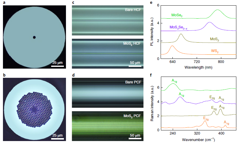 北京大學(xué)劉忠范院士/劉開(kāi)輝教授等《自然·納米技術(shù)》：光纖內(nèi)二維材料的均勻生長(zhǎng)實(shí)現(xiàn)超高非線性