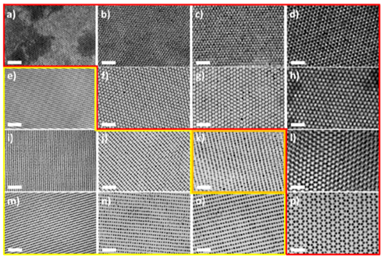 韓國科學技術(shù)院《ACS Nano》：手把手教你花樣制備納米粒子！