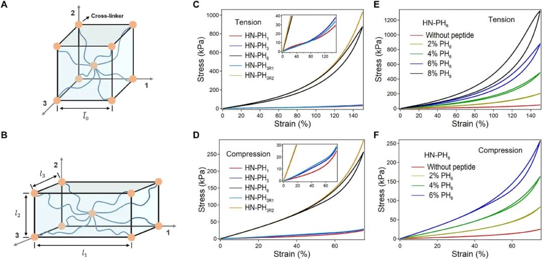 《Science》子刊：高強度、高韌性、可快速回復(fù)的水凝膠?