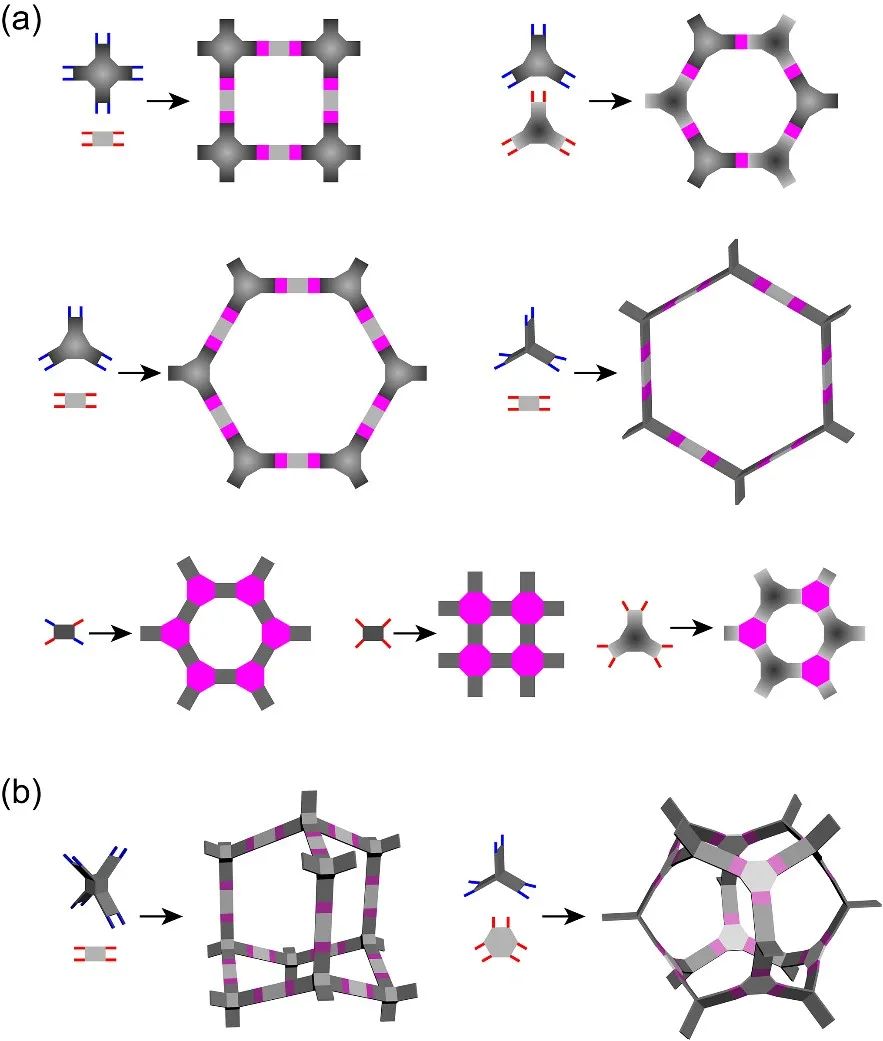 方磊《Chem》綜述：多孔網(wǎng)絡(luò)梯狀聚合物