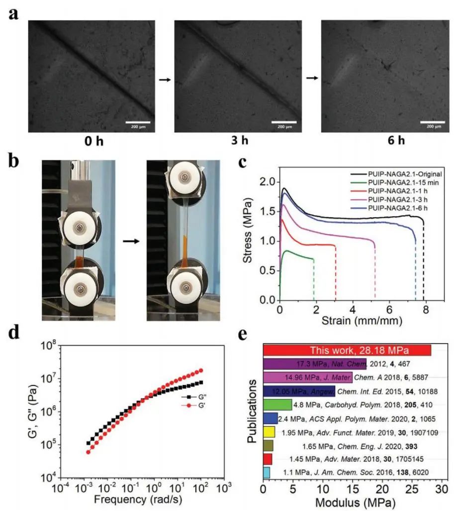 天津大學(xué)劉文廣教授、楊建海副教授團(tuán)隊(duì)《AFM》：基于多重氫鍵擴(kuò)鏈劑的自愈合聚氨酯：從超剛性彈性體到無(wú)溶劑型熱熔膠和AIE熒光涂層