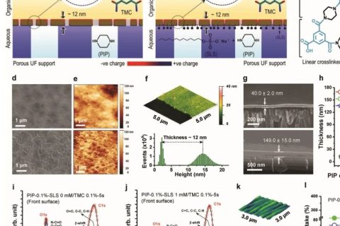 ?當前最高的離子截留率99.99%！《AFM》：超選擇性和高滲透性聚酰胺納米膜！