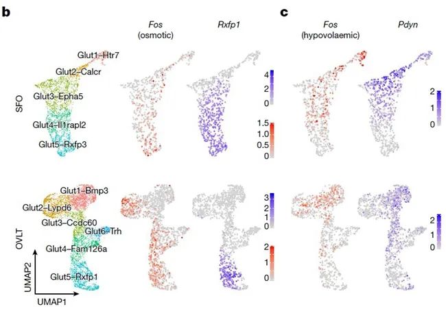 向優(yōu)秀看齊，南開大學(xué)本科生發(fā)《Nature》！