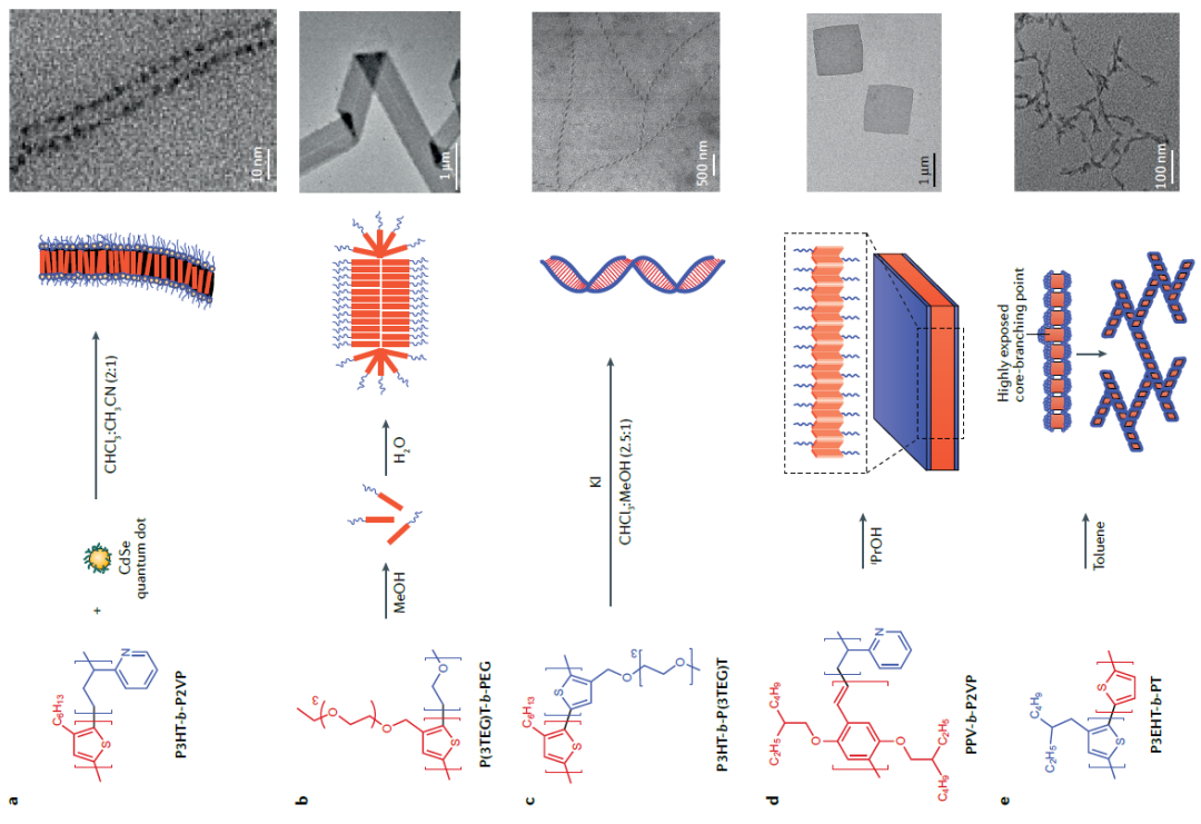 Ian manners院士《Nature Reviews Mater.》重磅綜述：π-共軛聚合物方案組裝功能性納米顆粒