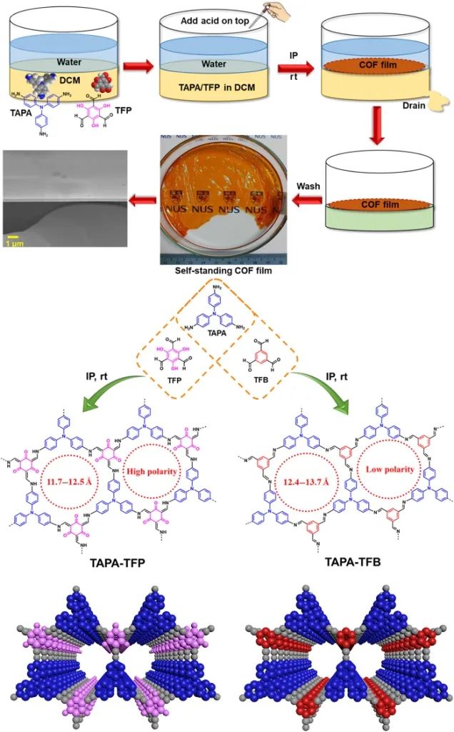 鐘臺(tái)生院士團(tuán)隊(duì)《Science》子刊：雜質(zhì)無(wú)處遁形！高溶劑滲透率、柔性自支撐COF膜助力分子分離