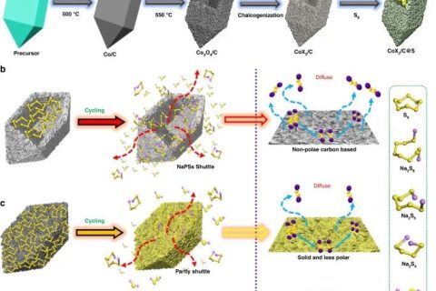 ?西南大學徐茂文/包淑娟團隊《自然·通訊》：金屬硫族化物極性中空雙棱柱作為室溫Na-S電池的高載量硫載體