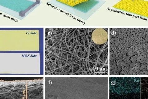 ?北京科技大學范麗珍教授團隊《AFM》：借助MOF層構建非對稱聚合物固體電解質用于鋰金屬電池