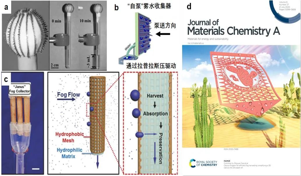 天津大學(xué)曹墨源：仿生霧水收集——向天空尋求解決淡水危機(jī)的方法