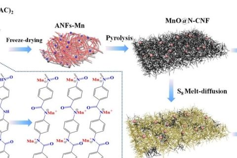 上海電力大學(xué)《JMCA》:如何簡單有效地原位復(fù)合碳纖維和金屬納米顆粒？一種可用于超級電容器和鋰硫宿主的雙功能材料