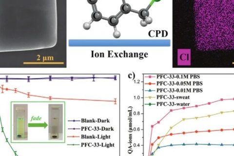 中科院福建物構所劉天賦《AM》：氫鍵有機骨架應用新突破！可用于離子響應型抗菌膜！