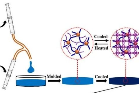 自抗菌、自粘附、可修復、可注射、耐酸耐堿的DN水凝膠粘附敷料