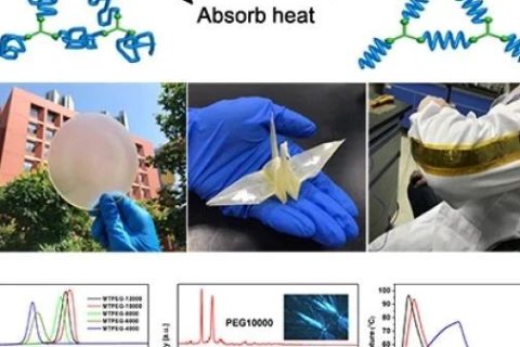 大連化物所史全/吳忠?guī)浐献鳌禘SM》：柔性相變儲能材料膜