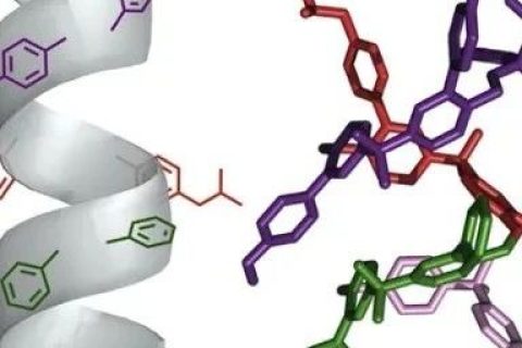 英國曼徹斯特大學Leigh院士《Chem》：分子機器精準“生產”單序列低聚物