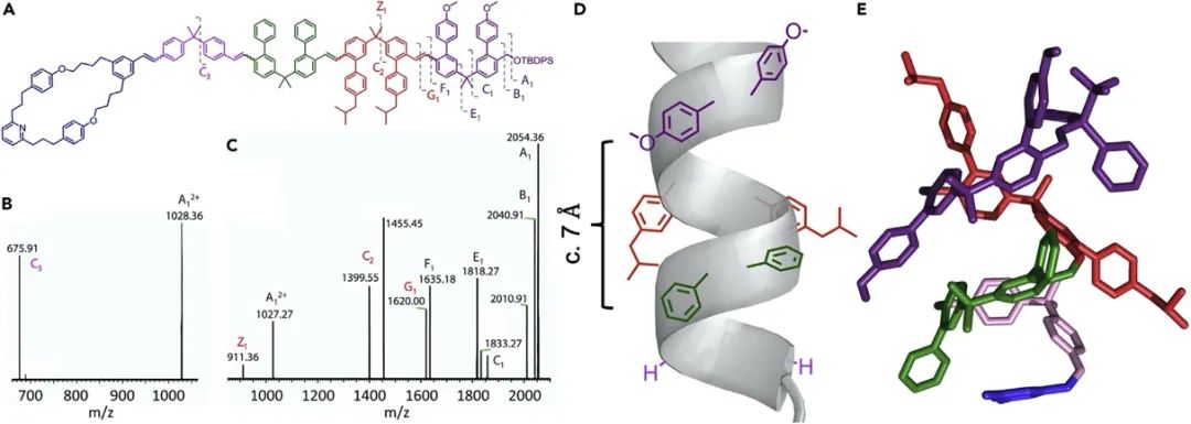 英國曼徹斯特大學(xué)Leigh院士《Chem》：分子機(jī)器精準(zhǔn)“生產(chǎn)”單序列低聚物