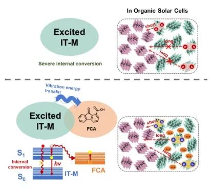 北京師范大學(xué)薄志山等《AM》：提高有機(jī)光伏電池性能的新途徑——延長(zhǎng)激子壽命、增加激子擴(kuò)散距離