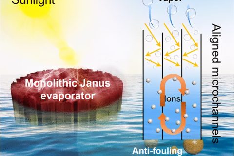 具有防污和減鹽特性的自給自足的Janus氣凝膠，用于穩(wěn)定日光蒸發(fā)