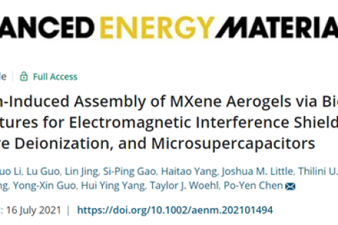 金屬離子誘導MXene氣凝膠，用于電磁干擾屏蔽和微型超級電容器