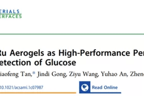 成都信工大李賀：B,N 摻雜 PdRu 氣凝膠靈敏檢測(cè)葡萄糖