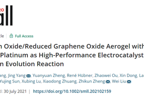 中山大學楊靜/劉衛(wèi)：低含量Pt氣凝膠作為析HER的高性能電催化劑