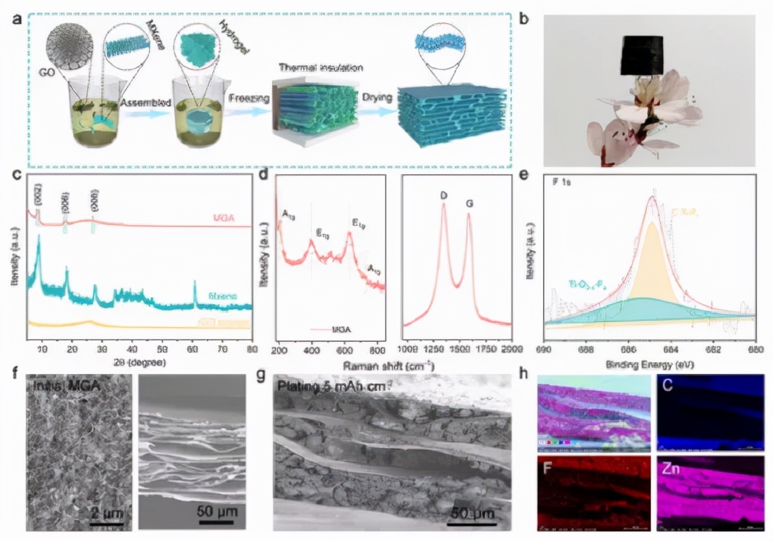 MXene/石墨烯氣凝膠封裝金屬鋅，作為可折疊鋅離子電池穩(wěn)定鋅陽(yáng)極