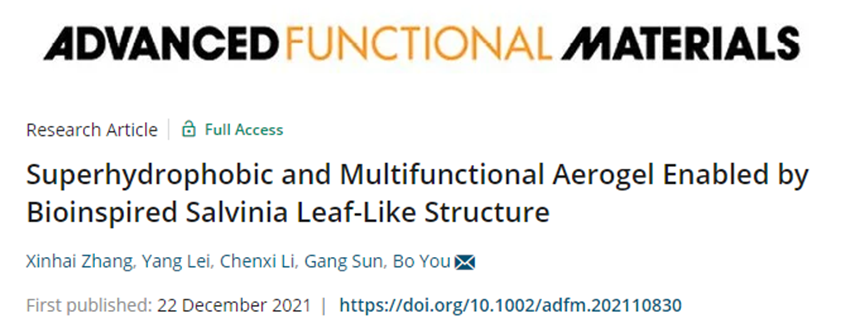 復(fù)旦大學(xué)游波教授《AFM》：仿生丹參葉狀結(jié)構(gòu)的超疏水多功能氣凝膠！