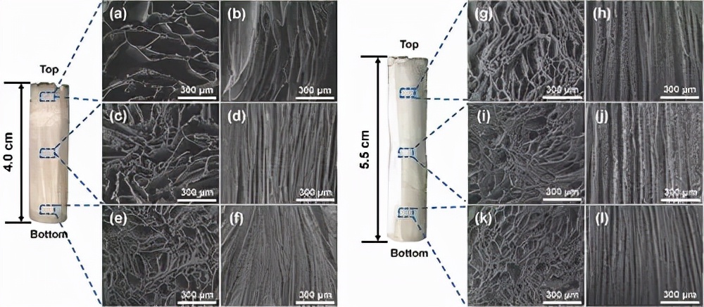 圖3氣凝膠在0 mm/s外加速度下橫向（左）和縱向（右）不同位置SEM圖